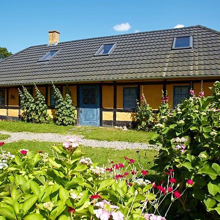 Mollegade 1 Holiday House Nordborg Luaran gambar