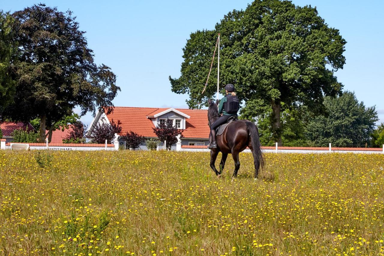 Mollegade 1 Holiday House Nordborg Luaran gambar